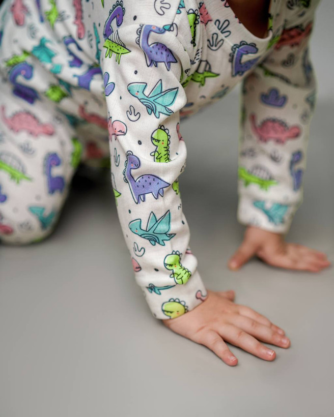 خرید آنلاین ست لباس راحتی بچگانه پنبه طرح دایناسورهای رنگی | سایز 6 ماه تا 4 سالگی | فروشگاه بیبی ست
